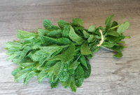 Menthe verte marocaine