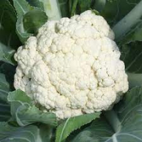 Chou fleur 500g à 700g