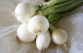 Oignons blancs (botte de 5)