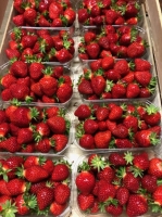 Fraise magnum 2 barquettes ]