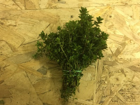 1 botte- thym citron