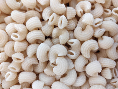 Canestri sec bio