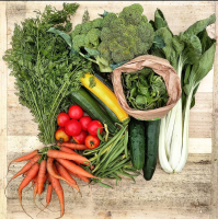 Paniers de 7/8 légumes