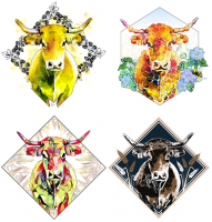 Carton mix grandes bouteilles