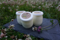 Le yaourt sur lit de fruits du verger 125g