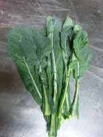 Chou noir de toscane