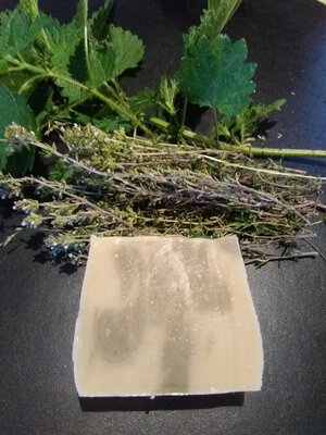 Savon shampoing lait de chèvre romarin ortie