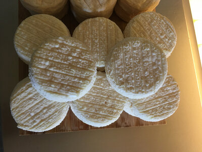 Chèvre demie frais