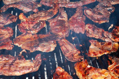 Mix pack barbecue agneau à griller dlc4/7