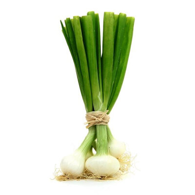 Oignon blanc botte