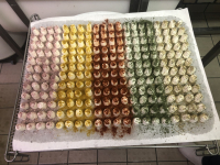 Barquette apérichèvres x 2