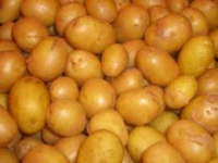 Pdt consommation grenaille agata cal 35+ 1kg