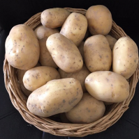 Toutes recette agata - vendu par 5 patates