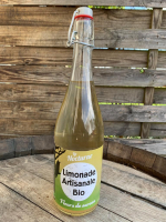 Limonade fleurs de sureau