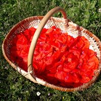 Confit de coquelicot