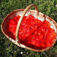 Confit de coquelicot