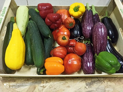 Panier d'été