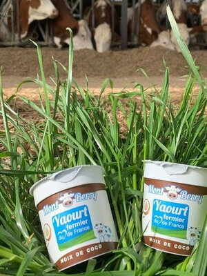 Yaourt montberry noix de coco