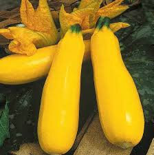 Courgettes jaunes