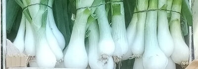 Oignon blanc vrac (frais et sans tige)