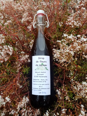 Sirop de fleurs de sureau