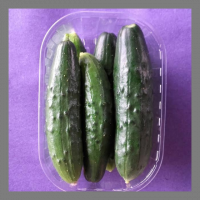 Cornichons frais à préparer ...