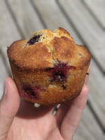 Muffin à la myrtille