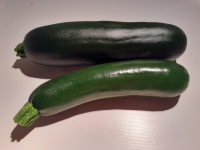 Courgette bio 25/30 cm
