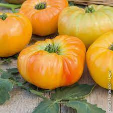 Tomate mix variétés anciennes