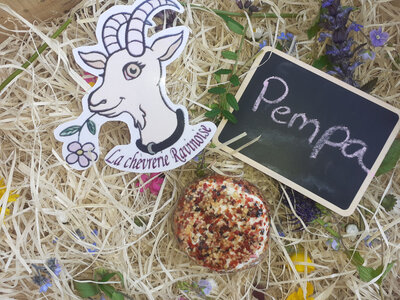 Fromage de chèvre frais pempa