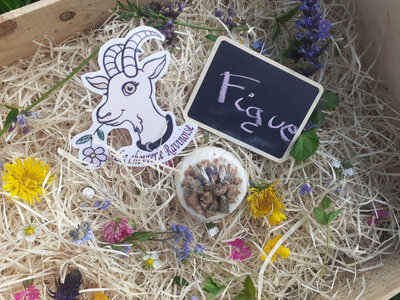 Fromage de chèvre frais à la figue