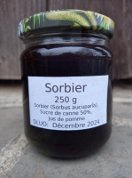 Fruité de sorbier