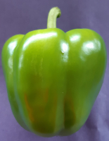 Lot de 3 poivrons bio