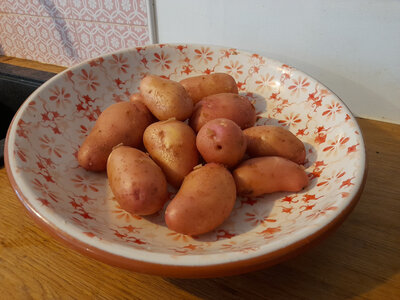Pommes de terre primeurs rosabelle  bio