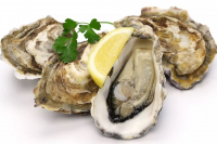 Huitres n°2 et n°1