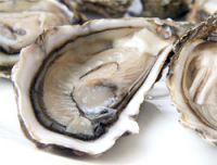 Huîtres n°2 et n°1