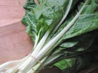 Poiree (ou blettes ou bettes)