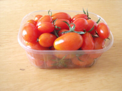 Tomates cocktail