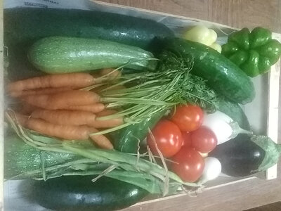 Panier moyen de légumes de saison