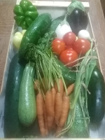 Panier diversifié légumes