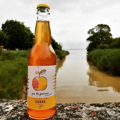 Jus de pomme artisanal 33cl