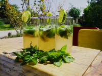 Bouquet de menthe bio