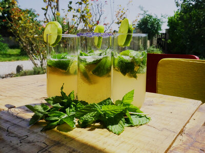 Bouquet de menthe bio