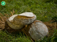Pain auvergnat 500g