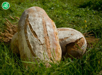 Pain de 2kg farine t80
