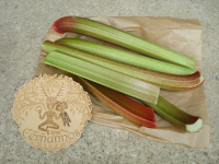Rhubarbe