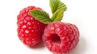 Framboise