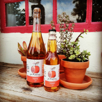 Jus de pomme qui pétille 33cl