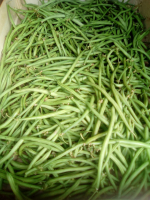 Haricots verts