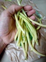 Haricots 'beurre'